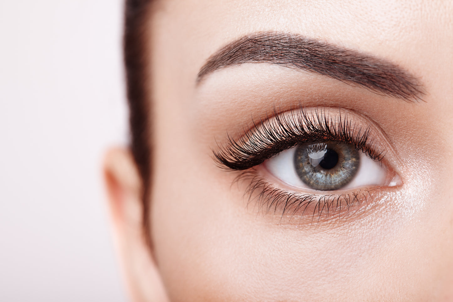 The LASH BRUSH